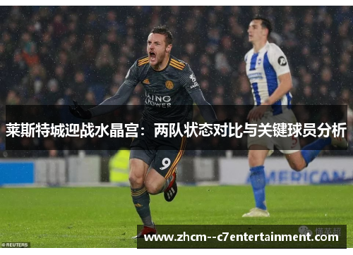 莱斯特城迎战水晶宫：两队状态对比与关键球员分析