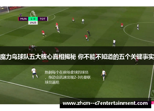 魔力鸟球队五大核心真相揭秘 你不能不知道的五个关键事实 魔力鸟球队五大核心真相揭秘 你不能不知道的五个关键事实