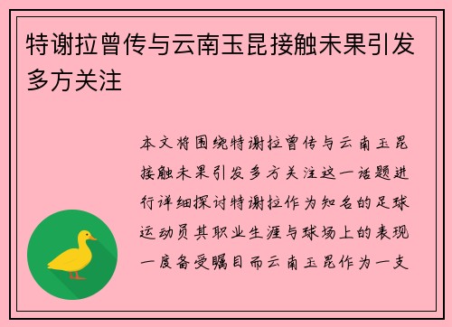 特谢拉曾传与云南玉昆接触未果引发多方关注 特谢拉曾传与云南玉昆接触未果引发多方关注